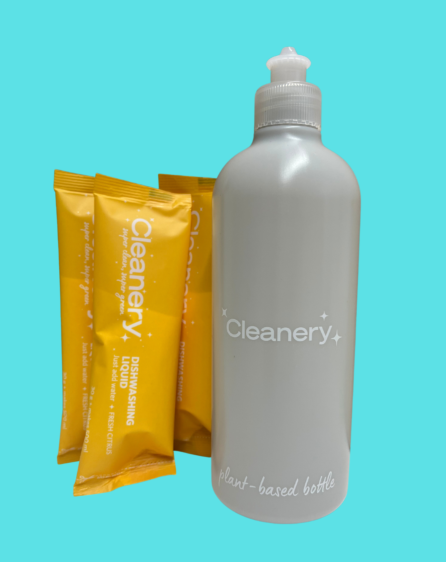 Dishwashing Starter Kit